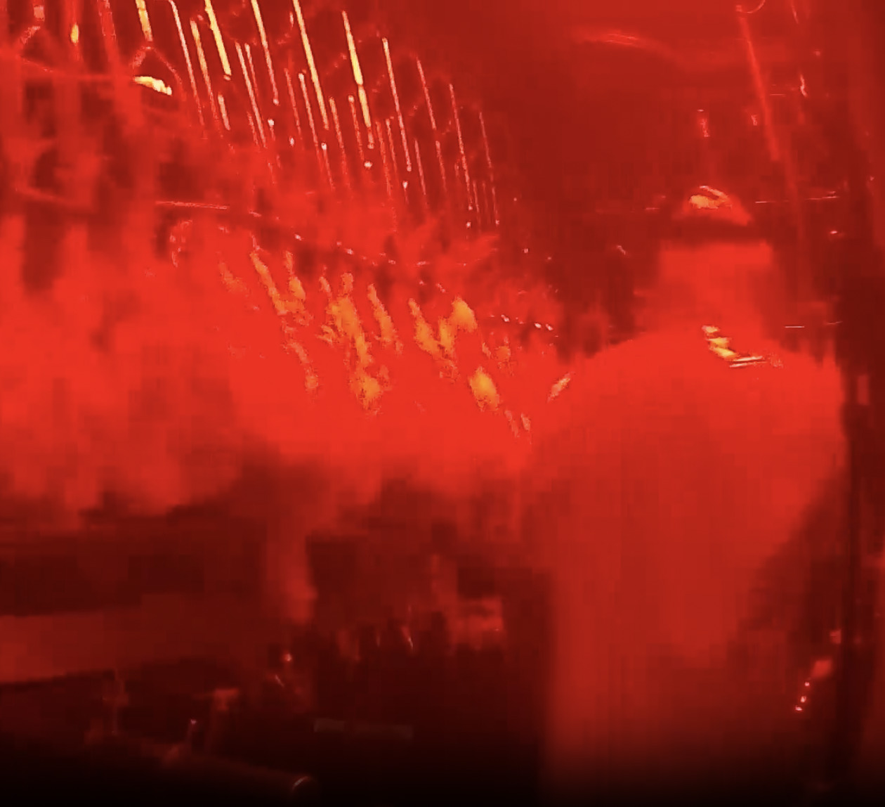 Chickens boiled alive at slaughterhouse